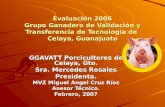 Evaluación 2006 Grupo Ganadero de Validación y Transferencia de Tecnología de Celaya, Guanajuato GGAVATT Porcicultores de Celaya, Gto. Sra. Mercedes Rosales.
