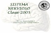 EU-Lic. René Castillo F. Propiedades Generales del Sistema Nervioso El sistema nervioso está formado por el tejido nervioso. Su principal función es la.