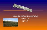 MIGUEL MOLES HURTADO 1ºESO B Nº 17. Se extienden desde el Golfo de Cádiz hasta las costas meridionales del País Valenciano y Baleares. Se extienden más.