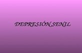 DEPRESIÓN SENIL. DREPRESIÓN Es uno de los trastornos mas frecuentes en la edad adulta, es considerada junto con la demencia como unas de las epidemias.