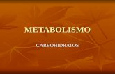 METABOLISMO CARBOHIDRATOS. METABOLISMO Definición; Definición; Conjunto de reacciones químicas acopladas entre si, que tienen lugar dentro de todas las.
