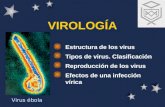 VIROLOGÍA Estructura de los virus Tipos de virus. Clasificación Reproducción de los virus Efectos de una infección vírica Virus ébola.