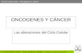 CICLO CELULAR – Oncogenes y cáncer © PROFESOR JANO – Prof. Víctor M. Vitoria – Estrategias de trabajo y aprendizaje ONCOGENES Y CÁNCER Las alteraciones.