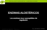 BACHILLERATO MARIANISTAS + COMPAÑÍA DE MARÍA Prof. VÍCTOR M. VITORIA ENZIMAS ALOSTÉRICOS – 2º Bachillerato ENZIMAS ALOSTÉRICOS Los enzimas muy susceptibles.