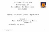 UdeC/FCQ/P.Reyes Unidad 5 1 Universidad de Concepción Facultad de Ciencias Químicas Química General para Ingeniería Unidad 5 Tema: Estado gaseoso y Teoría.