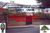 Postgrado en Ciencias del Desarrollo CIDES-UMSA Prospecto 2006 1 POSTGRADO EN CIENCIAS DEL DESARROLLO UNIVERSIDAD MAYOR DE SAN ANDRÉS CIDES - UMSA MAESTRIA.