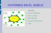 CATIONES EN EL SUELO Autores: Javier Rodríguez Ana Gallego Rosi Bellido Carolina Rebolledo Aritz Ca 2+ Mg 2+ K + Na + H + Ca 2+ Cl - K + SO 4 2- Na + Ca.