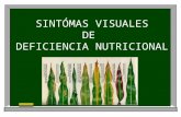 SINTÓMAS VISUALES DE DEFICIENCIA NUTRICIONAL. Índice 1. Diagnóstico visual de las plantas. 2. Los nutrientes en las plantas. Criterios de esencialidad.