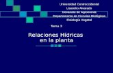 Tema 2 Relaciones Hídricas en la planta Universidad Centroccidental Lisandro Alvarado Decanato de Agronomía Departamento de Ciencias Biológicas Fisiología.
