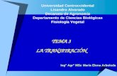 TEMA 3 LA TRANSPIRACIÓN Universidad Centroccidental Lisandro Alvarado Decanato de Agronomía Departamento de Ciencias Biológicas Fisiología Vegetal Ingº