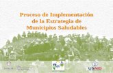 Proceso de Implementación de la Estrategia de Municipios Saludables GyC Salud y Ambiente.