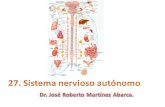 OBJETIVOS Enuncie la función del sistema nervioso autónomo. Diferencie las divisiones cráneosacra y toracolumbar del sistema nervioso autónomo. Enuncie.