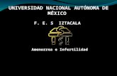 UNIVERSIDAD NACIONAL AUTÓNOMA DE MÉXICO F. E. S IZTACALA Amenorrea e Infertilidad.