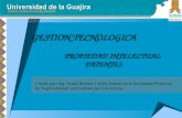 PROPIEDAD INTELECTUAL PATENTES GESTION TECNOLOGICA Creado por: Ing. Sandy Romero Cuello, basado en el documento Protocolo de Negociabilidad suministrado.