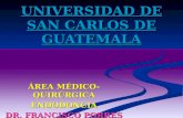 UNIVERSIDAD DE SAN CARLOS DE GUATEMALA ÁREA MÉDICO-QUIRÚRGICA ENDODONCIA DR. FRANCISCO PORRES.