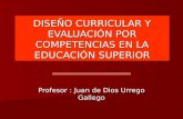 DISEÑO CURRICULAR Y EVALUACIÓN POR COMPETENCIAS EN LA EDUCACIÓN SUPERIOR Profesor : Juan de Dios Urrego Gallego.