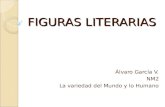 FIGURAS LITERARIAS Álvaro García V. NM2 La variedad del Mundo y lo Humano.