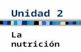Unidad 2 La nutrición. Función de nutrición Todos los seres vivios necesitan materia y energía, para mantener sus propias estructuras y mantener las funciones.