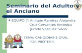 Seminario del Adulto y el Anciano EQUIPO 7: Amigón Ramírez Alejandra Cruz Cervantes Verónica Jurado Vázquez Silvia TEMA: CANDIDIASIS ORAL POR PRÓTESIS.