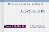 GALACTOSEMIA Química Biológica Patológica Dra. Silvia Varas qbpatologica.unsl@gmail.com Tema:9 (Bolilla 9)