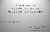 Síndrome de Malabsorción de Hidratos de Carbono Tema 8 (Bolilla8) Dra. María Sofía Giménez mgimenez@unsl.edu.ar.