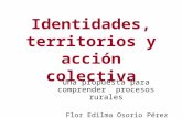 Identidades, territorios y acción colectiva Una propuesta para comprender procesos rurales Flor Edilma Osorio Pérez.