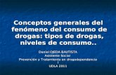 Conceptos generales del fenómeno del consumo de drogas: tipos de drogas, niveles de consumo.. Daniel OJEDA BAUTISTA Asistente Social Prevención y Tratamiento.