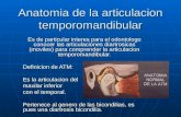 Anatomia de la articulacion temporomandibular Es de particular interes para el odontologo conocer las articulaciones diartrosicas (moviles) para comprender.