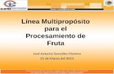 Línea Multipropósito para el Procesamiento de Fruta José Antonio González Moreno 21 de Marzo del 2013.