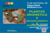 PLAN NACIONAL DE Seguridad Alimentaria PLANTAS AROMÁTICAS RECONOCIMIENTO Y APROVECHAMIENTO Ing. Agr. Graciela Gasparetti Agente de Proyecto PROHUERTA.