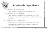 Diplomado en Calidad en el Software Derechos Reservados, 1999 Juan Antonio Vega Fernández Pruebas de Caja Blanca Cobertura de Sentencias –Cada sentencia.