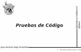 Diplomado en Calidad en el Software Derechos Reservados, 1999 Juan Antonio Vega Fernández Pruebas de Código.