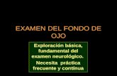 EXAMEN DEL FONDO DE OJO Exploración básica, fundamental del examen neurológico. Necesita práctica frecuente y contínua.