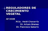 REGULADORES DE CRECIMIENTO VEGETAL AF-5408 M.Sc. Heidi Chavarría Dr. Arturo Brenes Dr. Francisco Saborío.