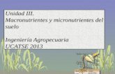 Unidad III. Macronutrientes y micronutrientes del suelo Ingeniería Agropecuaria UCATSE 2013.