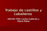 Trabajo de castillos y caballeros HECHO POR: Carlos Gallardo y Pedro Pablo.