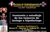 Pamies Guilabert J, Braun P 1, Moreno V, Collado D 2, Facal F, Guillen L. 1 Servicio de Radiodiagnóstico. Hospital de la Plana, Vila-real. 2 Servicio de.