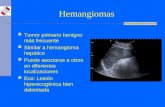 Hemangiomas Tumor primario benigno más frecuente Similar a hemangioma hepático Puede asociarse a otros en diferentes localizaciones Eco: Lesión hiperecogénica.