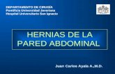 HERNIAS DE LA PARED ABDOMINAL Juan Carlos Ayala A.,M.D. DEPARTAMENTO DE CIRUGÍA Pontificia Universidad Javeriana Hospital Universitario San Ignacio.