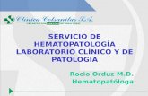 SERVICIO DE HEMATOPATOLOGÍA LABORATORIO CLÍNICO Y DE PATOLOGÍA Rocio Orduz M.D. Hematopatóloga.
