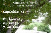 ARBOLES Y MITOS Elena Huerta Capítulo XI El Laurel, el éxito y la salud.