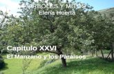 ARBOLES Y MITOS Elena Huerta Capítulo XXVI El Manzano y los Paraísos.