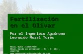 Fertilización en el Olivar Por el Ingeniero Agrónomo Leonardo Moral Torés Movil 0264 -154157719 Movil desde el exterior: + 54 - 9 264 - 4157719 .