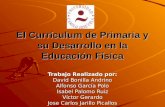 El Currículum de Primaria y su Desarrollo en la Educación Física Trabajo Realizado por: David Bonilla Andrino Alfonso García Polo Isabel Palomo Ruiz Víctor.