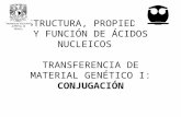 ESTRUCTURA, PROPIEDADES Y FUNCIÓN DE ÁCIDOS NUCLEICOS TRANSFERENCIA DE MATERIAL GENÉTICO I: CONJUGACIÓN.