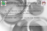 UNIVERSIDAD AUTONOMA DE CHIHUAHUA EL ALIMENTO COMO UN MICROAMBIENTE MICROBIOLOGIA DE ALIMENTOS DOCENTE: DR. IVAN SALMERON OCHOA ALUMNO: TONATIUH SOSME.