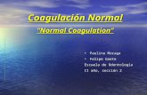 Coagulación Normal Normal Coagulation Paulina MoragaPaulina Moraga Felipe GaeteFelipe Gaete Escuela de Odontología II año, sección 2.