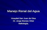 Manejo Renal del Agua Hospital San Juan de Dios Dr. Jorge Brenes Dittel Nefrología.