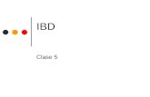 IBD Clase 5. UNLP - Facultad de InformáticaIBD - CLASE 5 2 Búsqueda de datos - Indices Búsqueda de información: debemos minimizar el número de accesos.