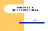 MUERTE Y SUPERVIVENCIA BOST. 2. Cálculo de las prestaciones por muerte y supervivencia, en el Régimen general, causadas por trabajador fallecido a consecuencia.